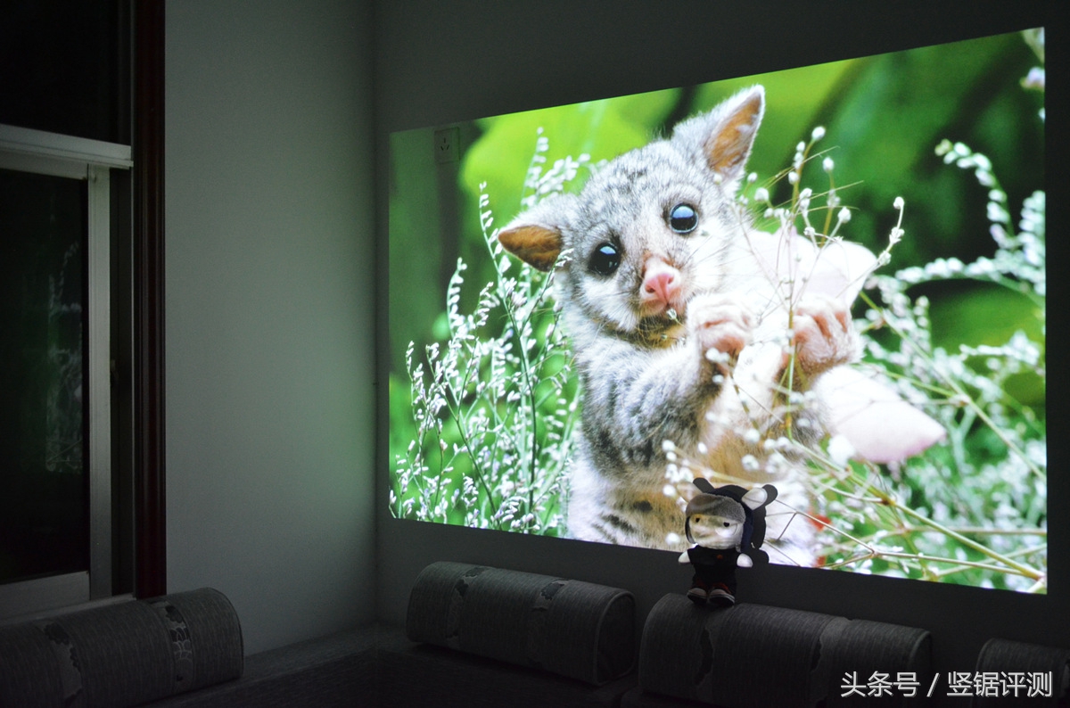 坚果睿途r8固件升级,坚果最大投影