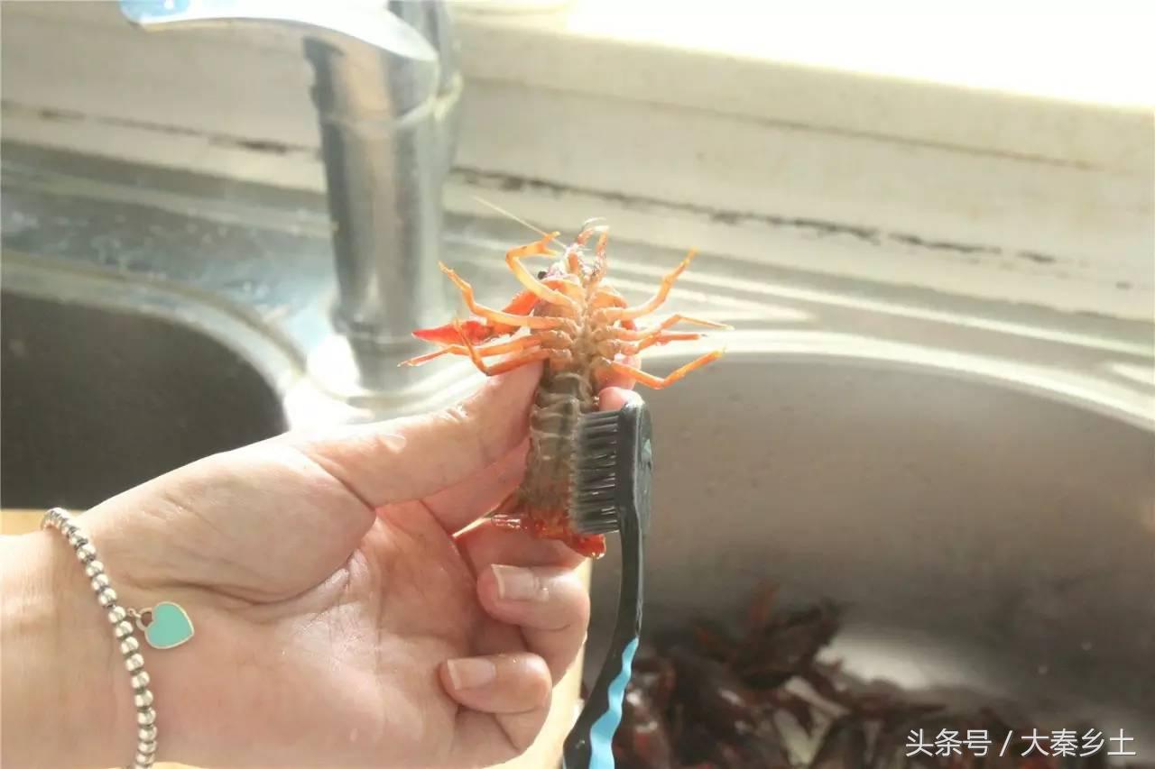 又到了一年一度的小龙虾盛宴了大家如何在家吃到小龙虾？西安这条街美食秒杀回民街统统吃一遍才过瘾？