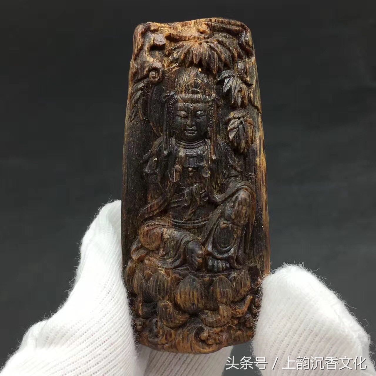 越南芽庄沉香的香型,沉香香型与产地对照表