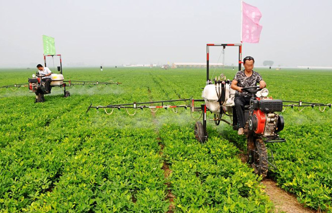 花生出苗后生杂草用什么除草剂,花生杂草封闭除草剂
