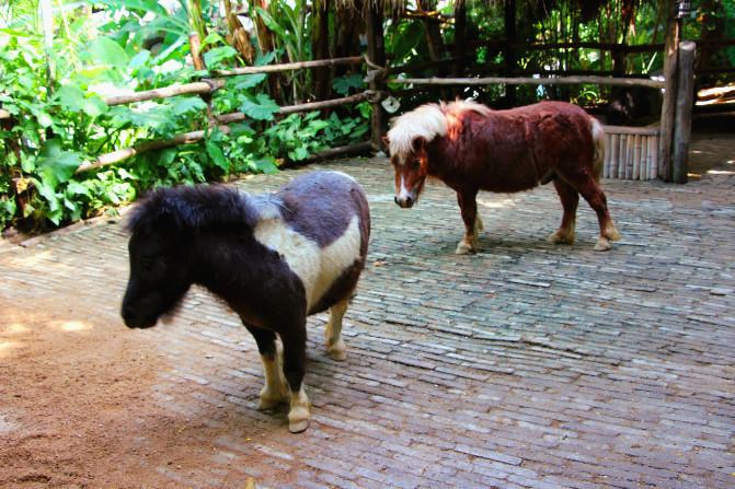 涓変簹澶╂动娴疯鏃呮父鏀荤暐,涓変簹澶╂动娴疯椋庢櫙瑙嗛