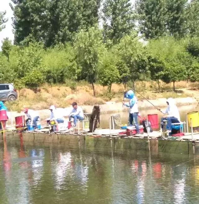 河南最近有哪些钓鱼比赛,南阳钓鱼竞技比赛