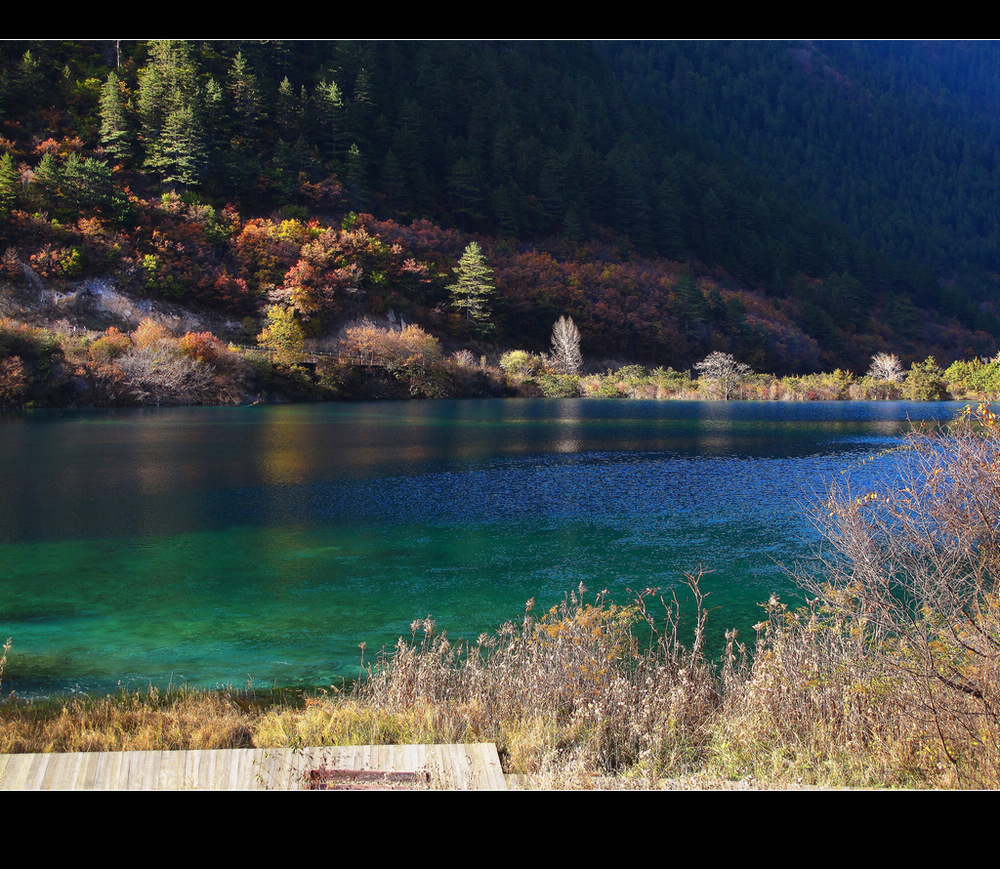 乡村小景光影风景摄影,光影速写风景