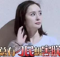 杨幂刘亦菲同框热聊,杨幂刘亦菲最近互动