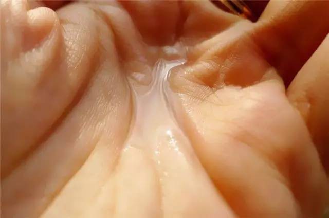 日本口碑最好护肤品资生堂,资生堂护肤品大揭秘