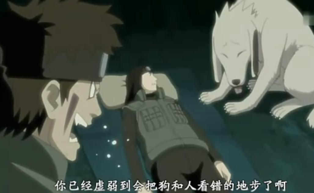 盘点动漫里的十只可爱的小狗,盘点动漫中的小宠物你觉得谁好看