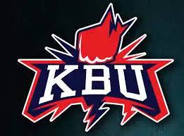 vp电竞是啥,vp电竞