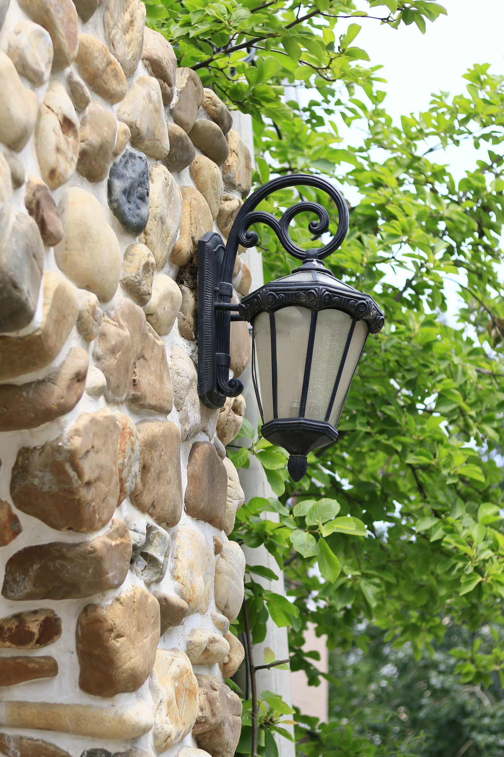 佳能70d配24mm头图片,佳能70d配18-55镜头怎么样