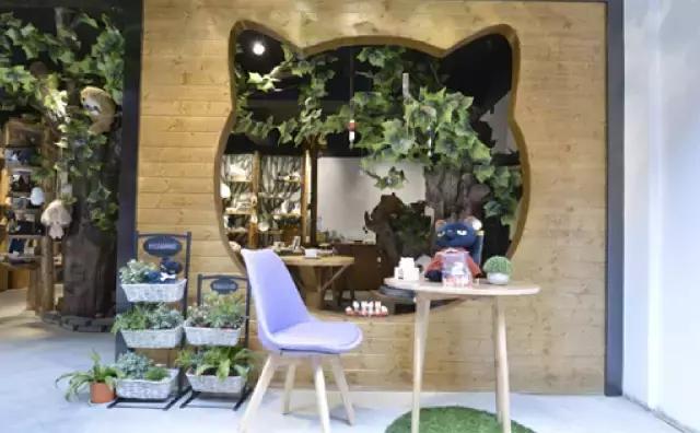 丽江这些有故事的小店,和那些江湖中的人!