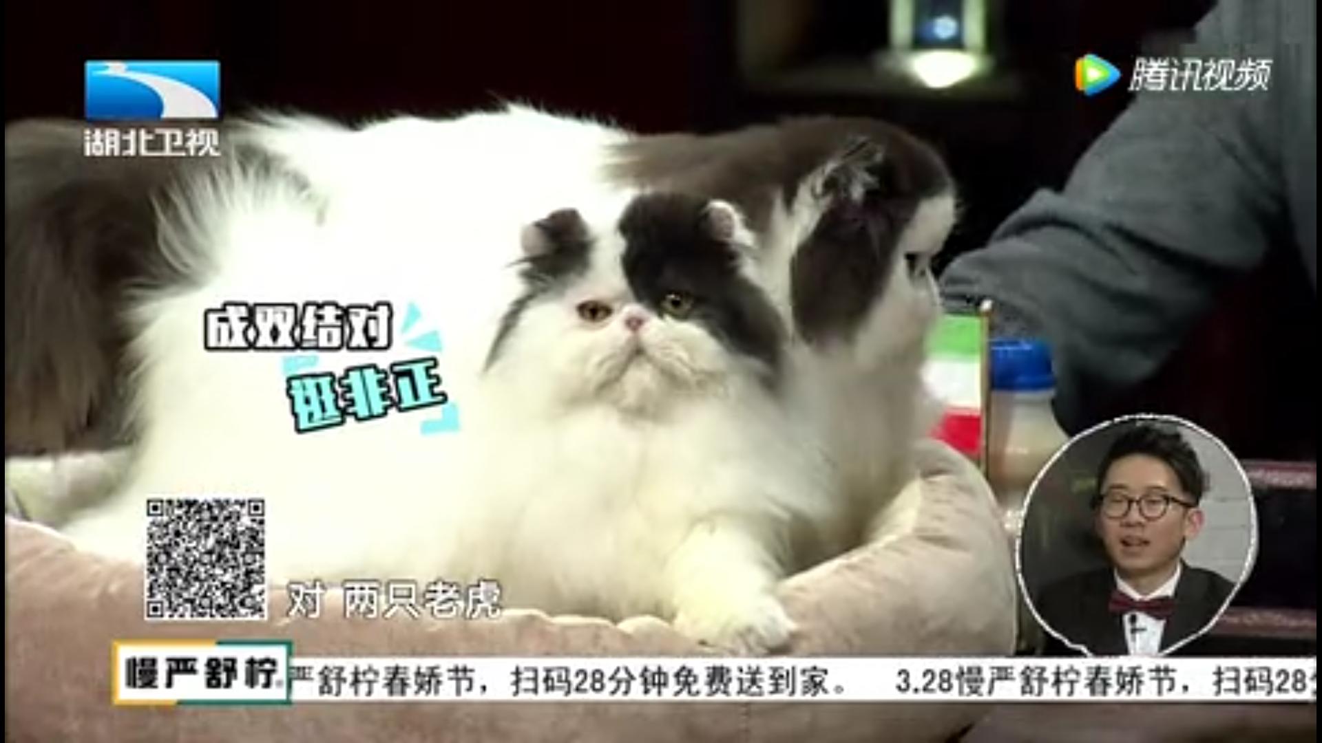 非正式会谈各国特色零食,非正式会谈各国奢侈品读音