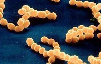 皮疹常见状态,各种皮疹的症状及区别