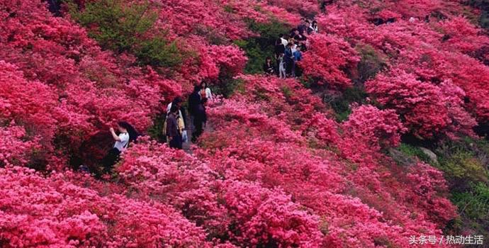 十大最宜创业城市,十大城市创业机会