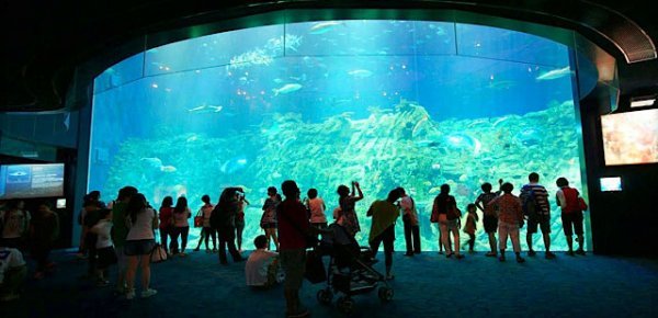 暑假去香港海洋公园攻略图片,去香港海洋公园旅游全攻略