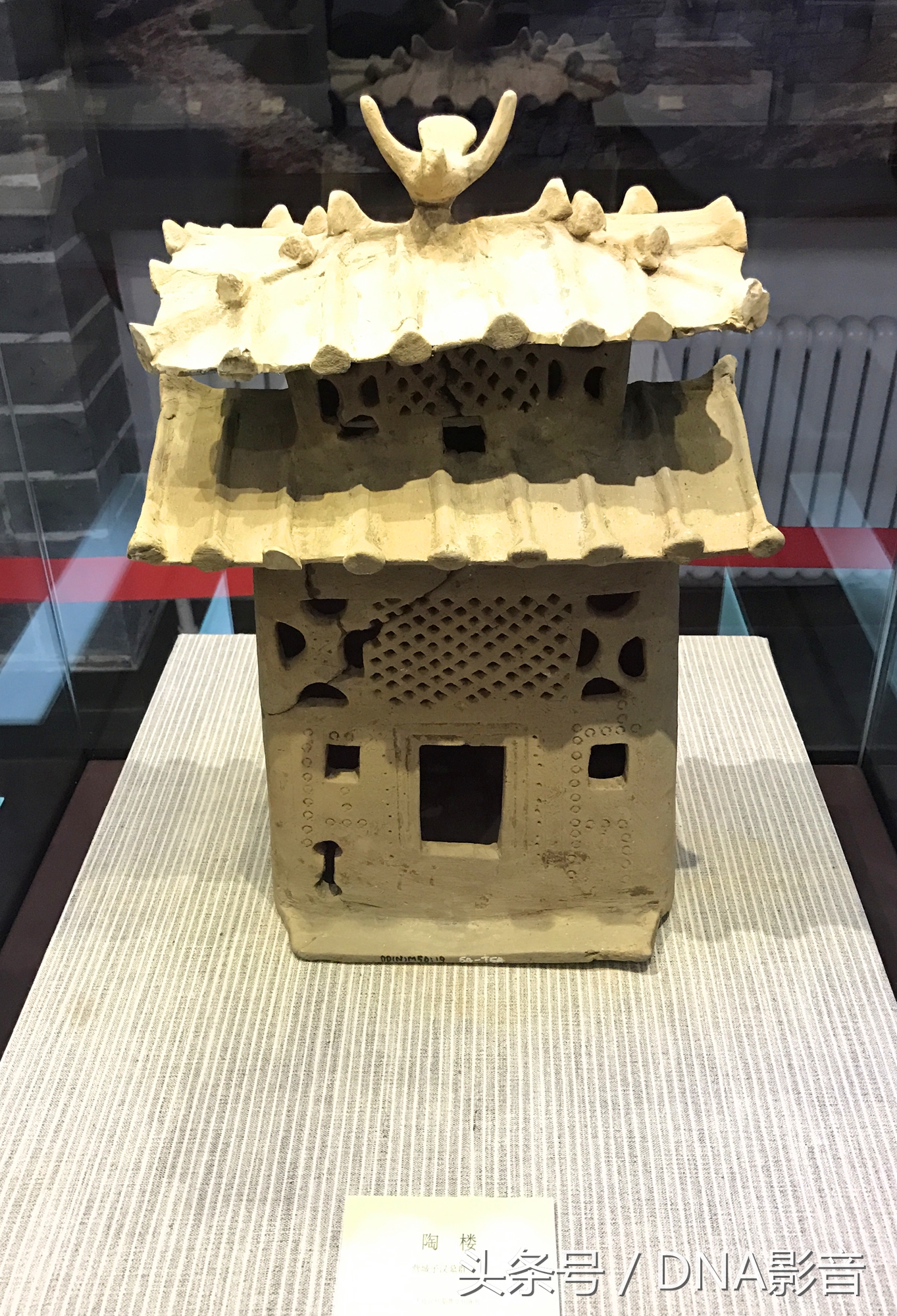 马王堆汉墓大连博物馆,大连汉代墓博物馆开放时间