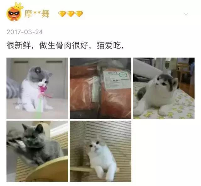 铝盆和鸡窝卖断货了，看猫咪用品创业商机