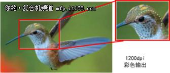 极致性能手机,极致性能的手机