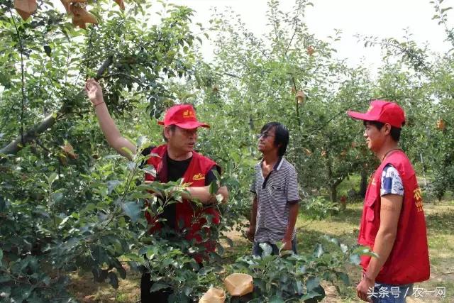 农资生意难做为啥还要做,都说生意一年比一年难做