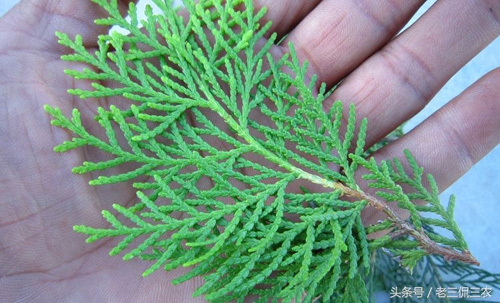 民间辟邪老物件,民间辟邪圣物