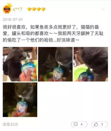 从让人捧腹的铝盆和鸡窝大抢购,看猫咪用品创业商机