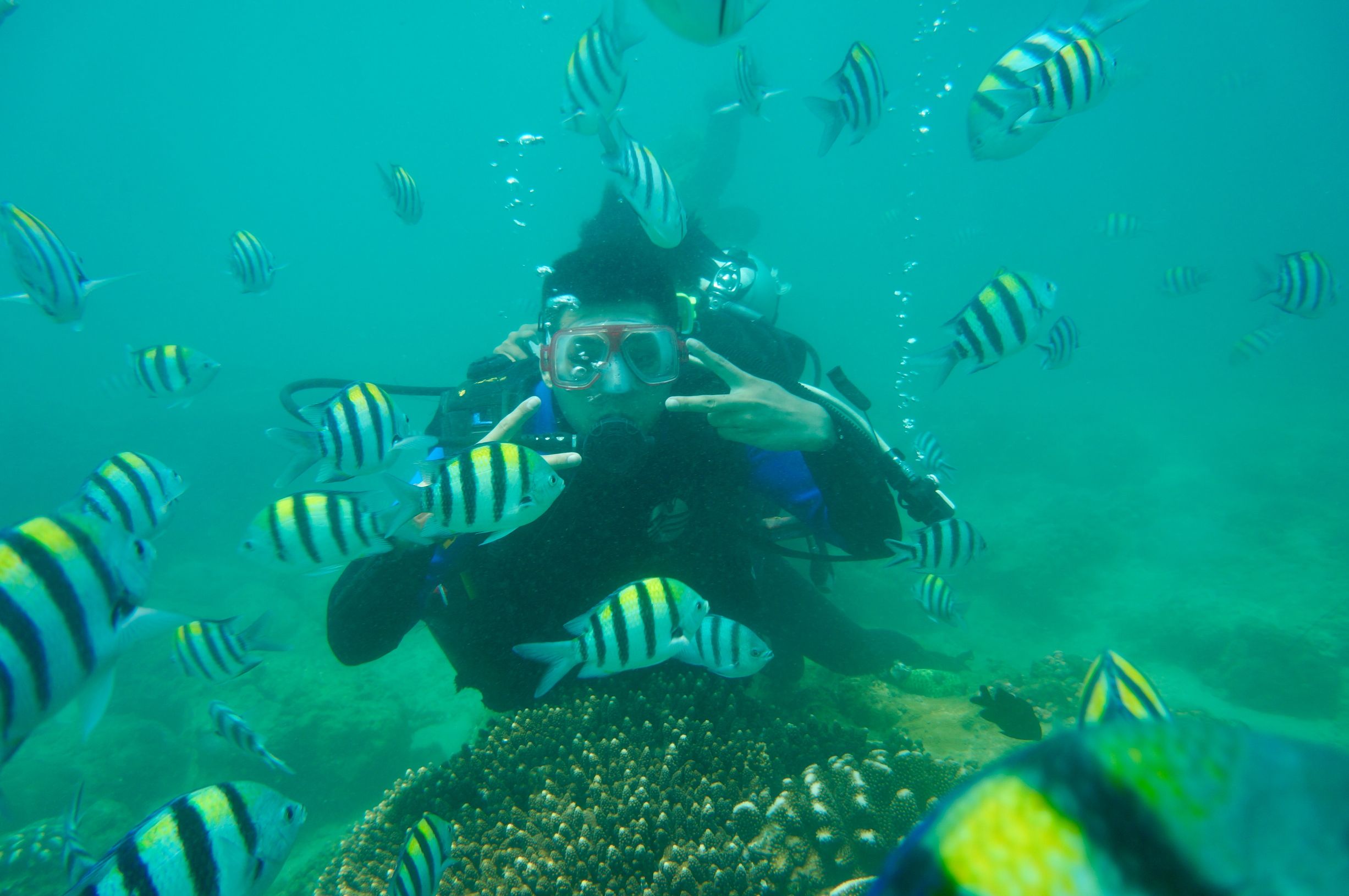 旅行是为了遇见未知的美好,旅行让你遇到未知的世界