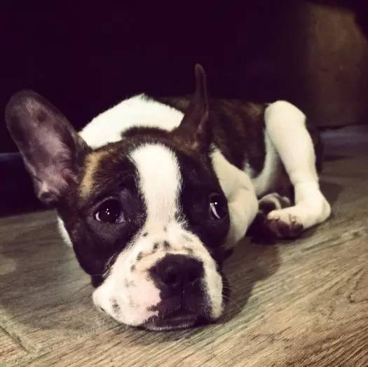 魔都特色餐厅推荐,魔都最有腔调的十家自助餐约起来