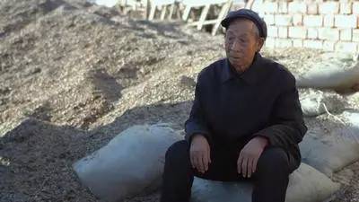 巴彦淖尔的葵花籽卖到哪里了,内蒙葵花籽滞销