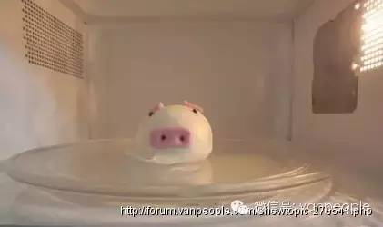 大统华零食推荐,一些量大耐吃的零食推荐