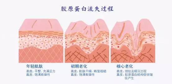 兔妈分享丨价格好爆！以色列Tripollarstop童颜机Luna洁面仪电动硅胶牙刷，吃土都值得入！