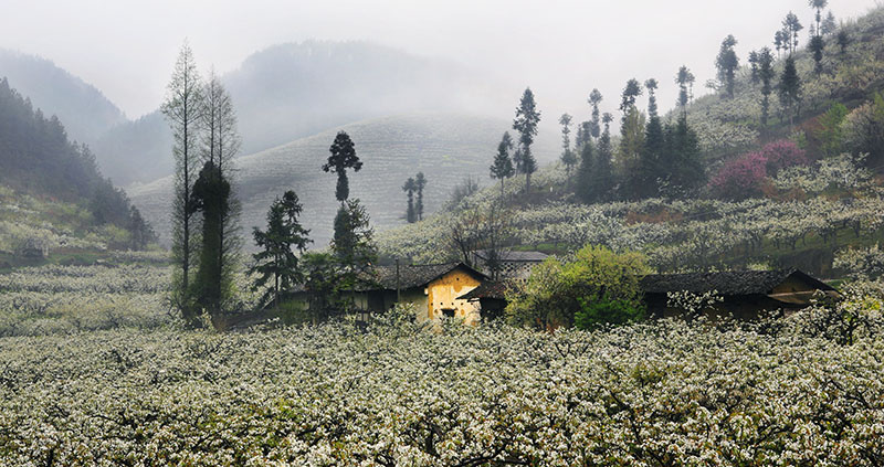 恩施各乡镇干部名单,恩施市各村村干部名单
