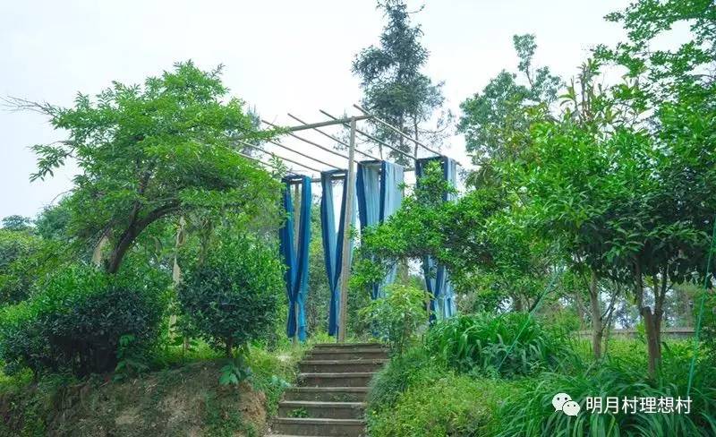 成都明月村值得去吗,成都附近的明月村在哪里