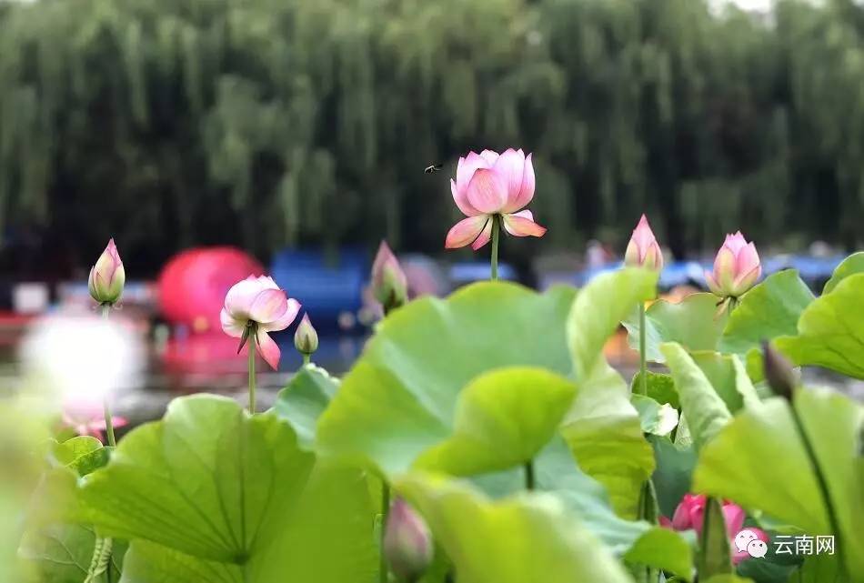 早fun｜中科院公布城市竞争力排名猜猜昆明在289个城市中排第几？