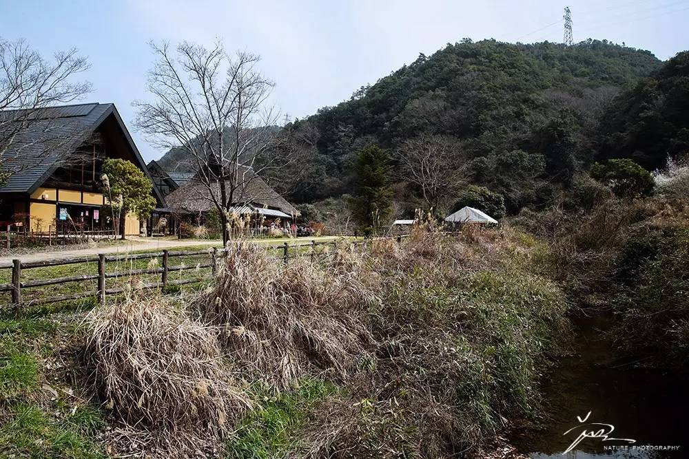 暑期日本之旅,暑假日本旅游攻略