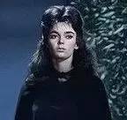 百草园有什么药材,百草园里面有什么草