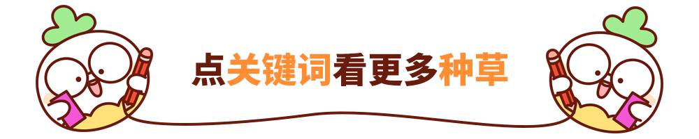 泰国正品彩妆产品推荐,超便宜的彩妆2元