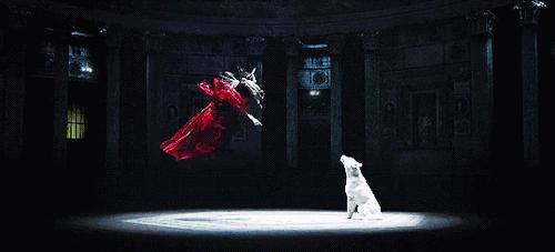 这是我看过最美的情话,这是我看过最美的风景