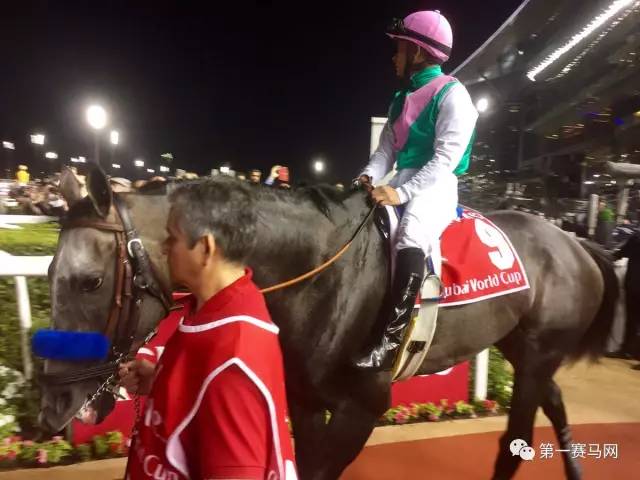 世界马王“鸠占鹊巢”已敲定重征战场计划！