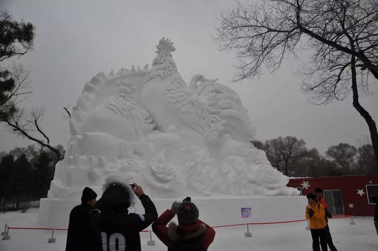 赏冰乐雪游龙江,赏雪玩冰之旅攻略