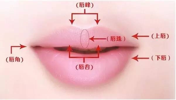 为什么我买的口红只会沾杯,为啥越大牌口红越容易沾杯