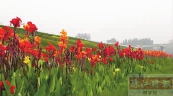 天晴景美花争艳踏青品墨都相宜