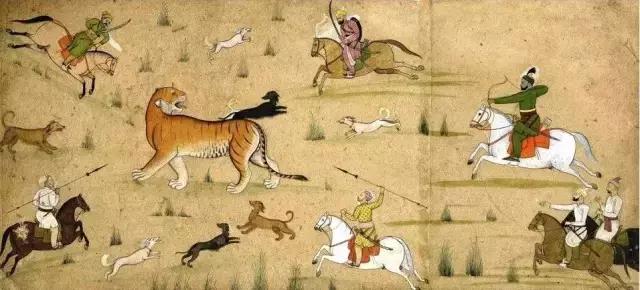 神仙狗是什么狗,有没有什么神仙养的狗