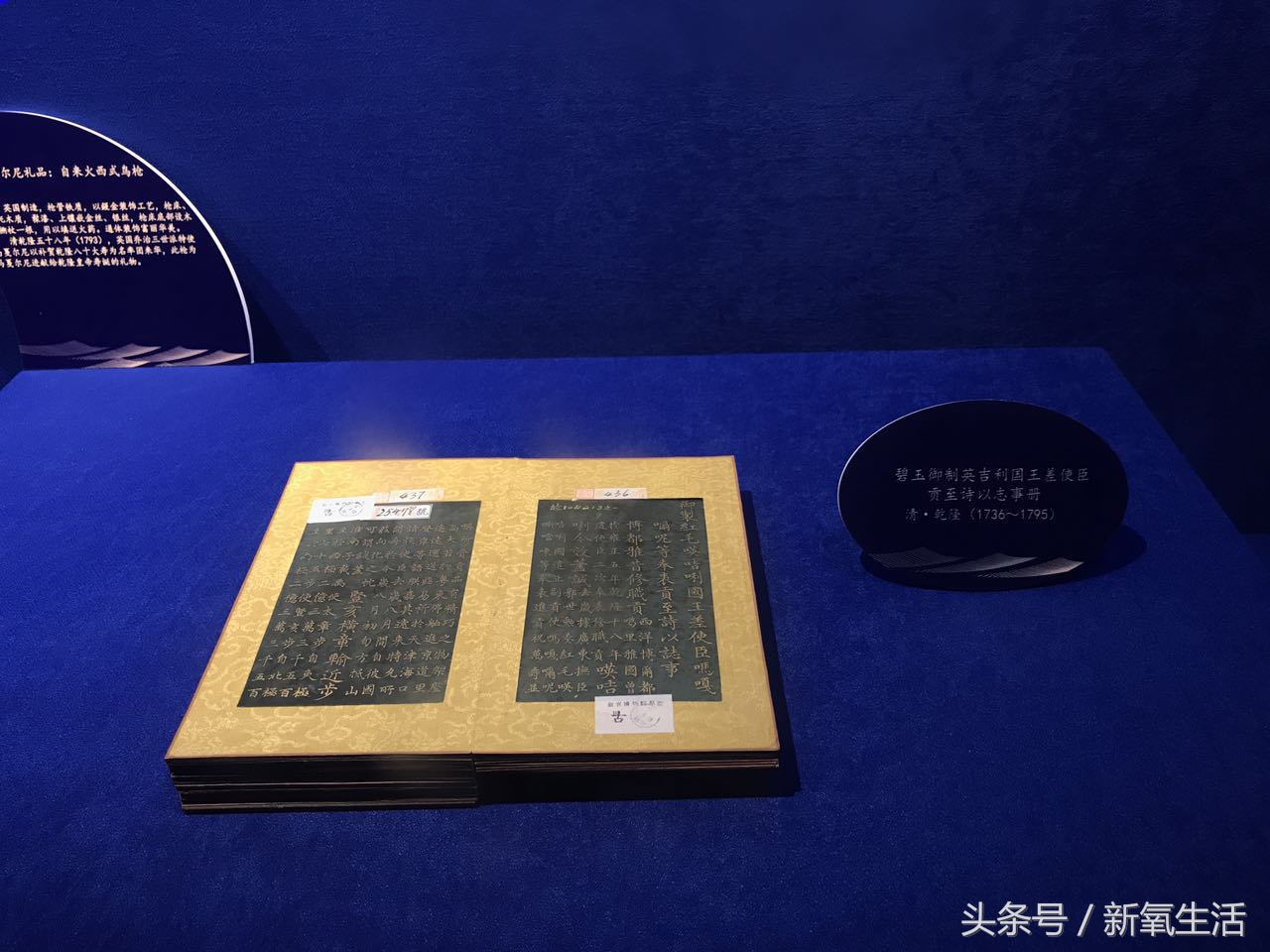 红毛指的是什么,红毛要怎么形容