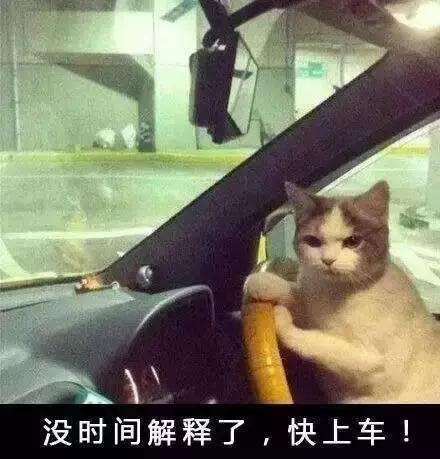 厦门有哪些值得买的伴手礼,厦门最好吃最值得购买的伴手礼