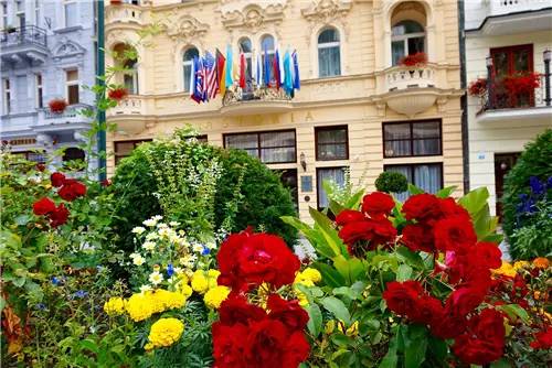 喜欢送花的男生什么性格,那些喜欢花的人