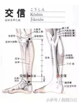 中医穴位交会穴,交信穴对崩漏管用吗