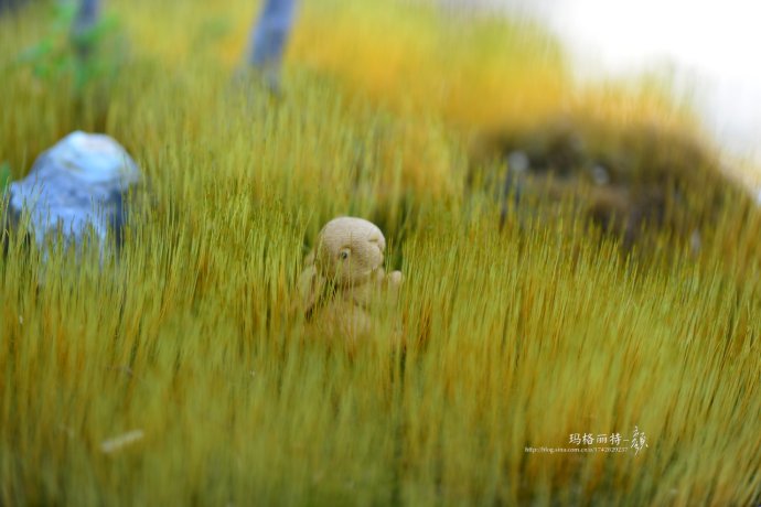 鎷滆涓滅鑽夊爞,鑺卞洯鎷滆