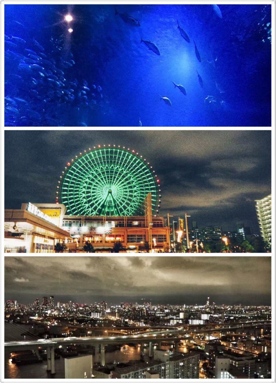 日本关西自助游攻略,关西一日游最佳路线