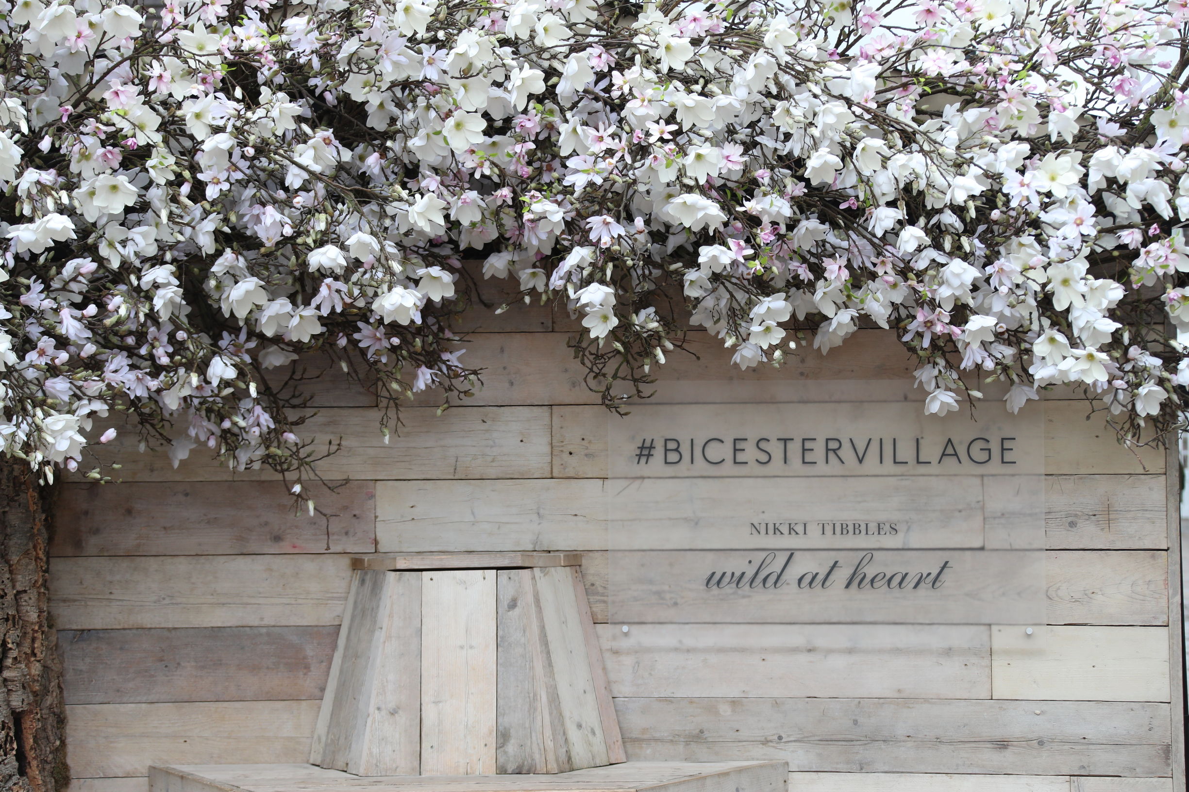 镶金边的高跟鞋!凯特妃最爱,老佛爷钦点,女星们集体买买买!