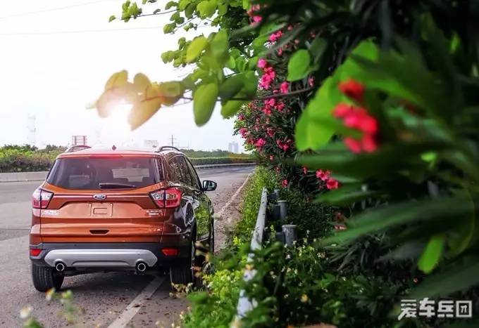 翼虎suv省油排行榜,紧凑型suv2019款翼虎怎么样