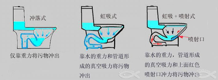 怎么正确选择马桶,正确选用马桶且省钱