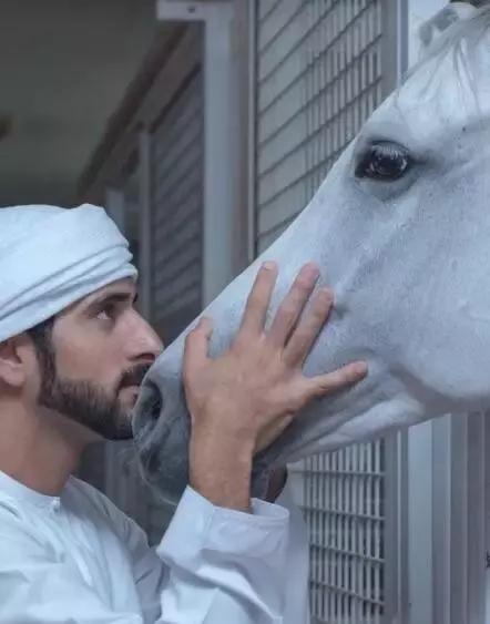 最帅迪拜王子哈曼丹,哈曼丹和威廉王子